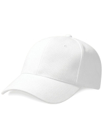 Pro-Style Heavy Brushed Cotton Cap