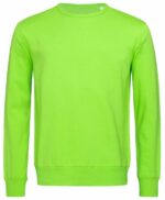 Stedman Sweater for him - Afbeelding 6
