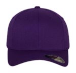 Fitted Baseball Cap - Afbeelding 12